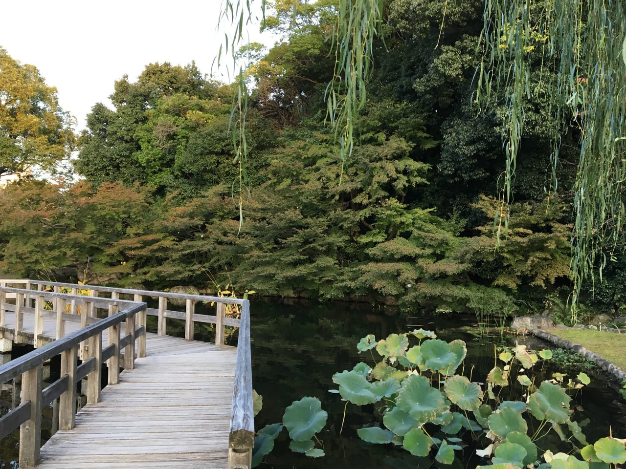 徳川園