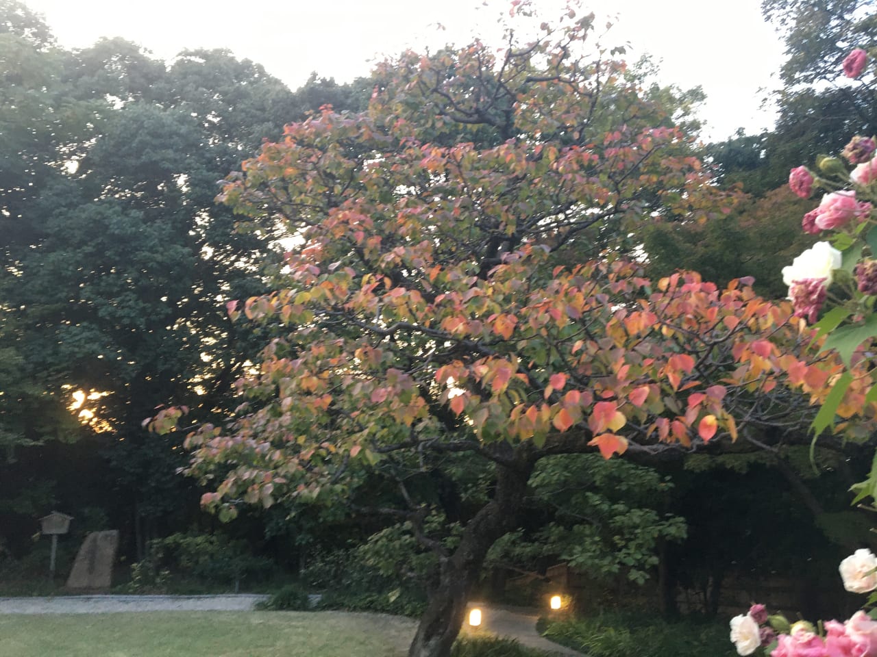 徳川園