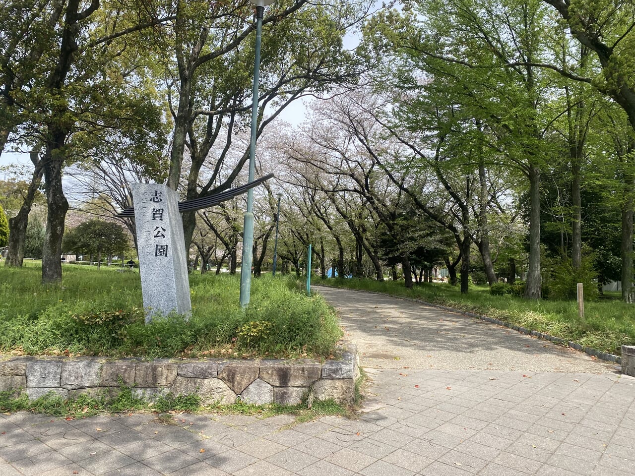 志賀公園秋まつり