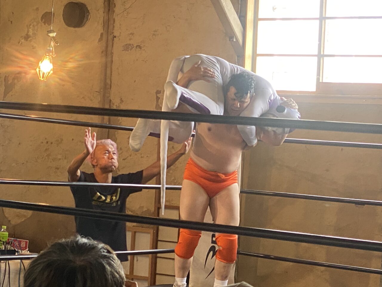 金城プロレス市場